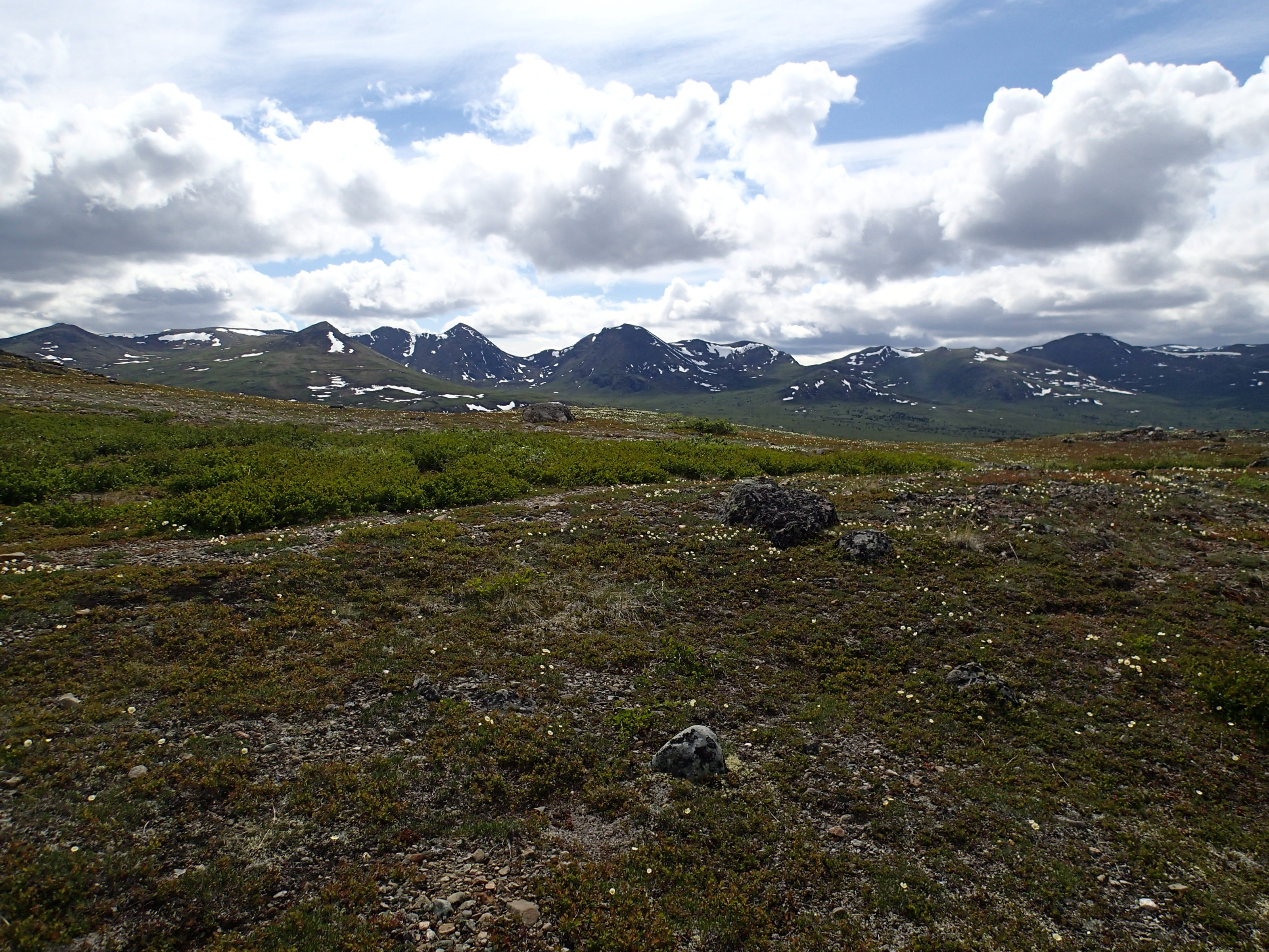 Whitehorse