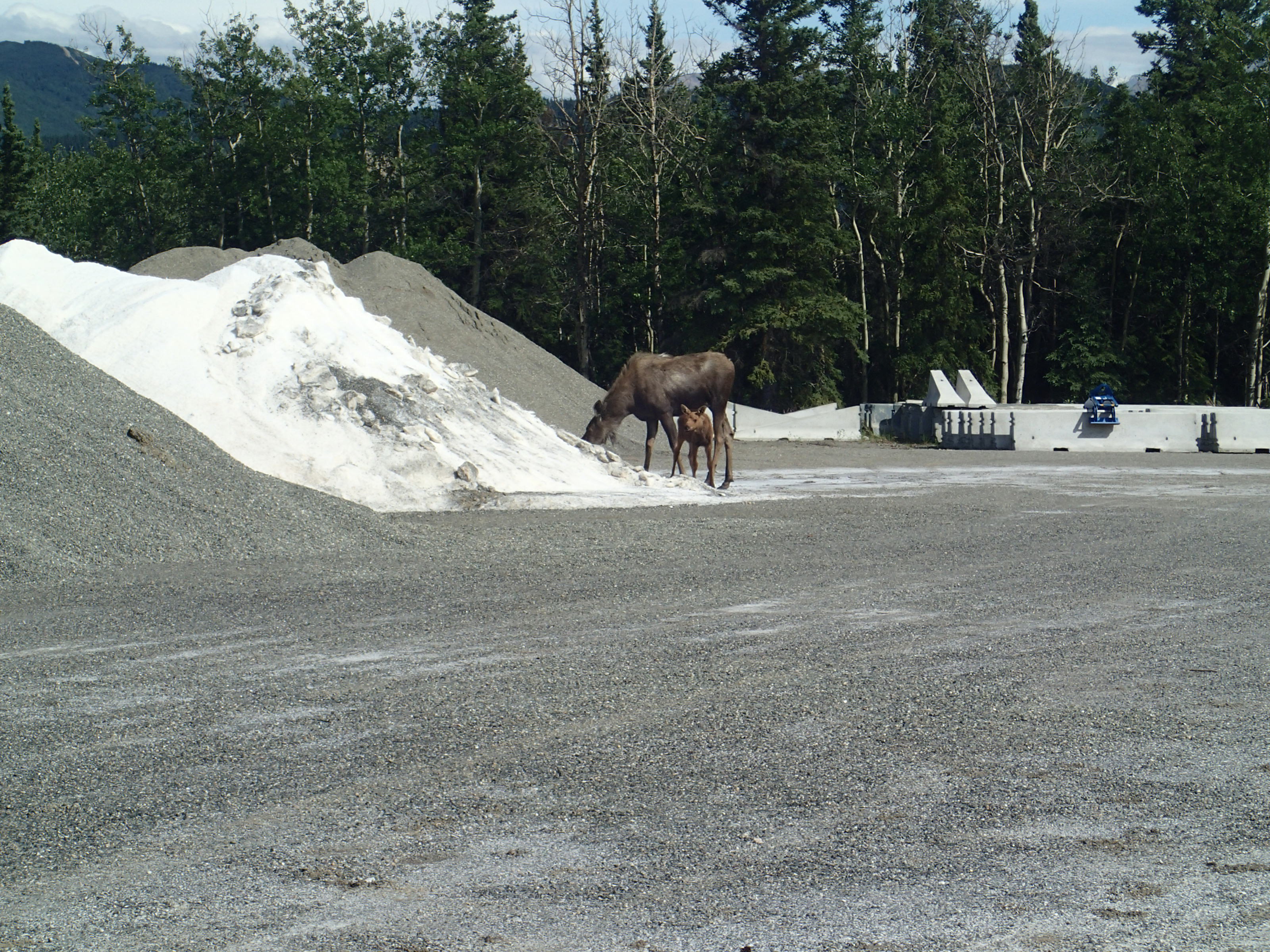 Fairbanks