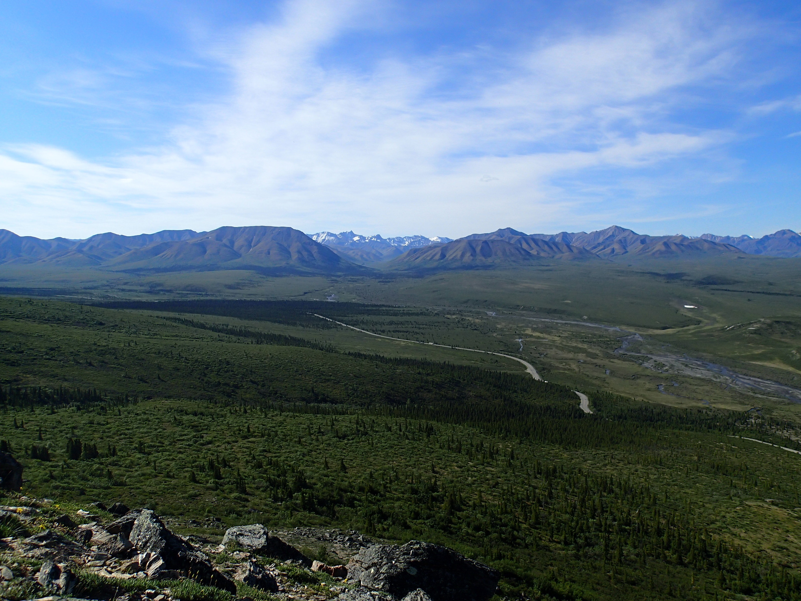 Denali National Park