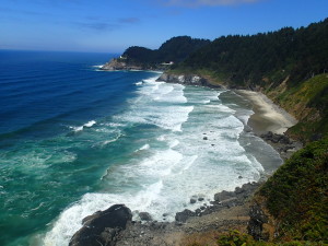 Wild Pacific Coast