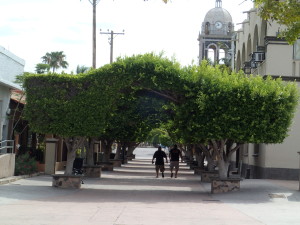 Walkway to the Church in Loreto