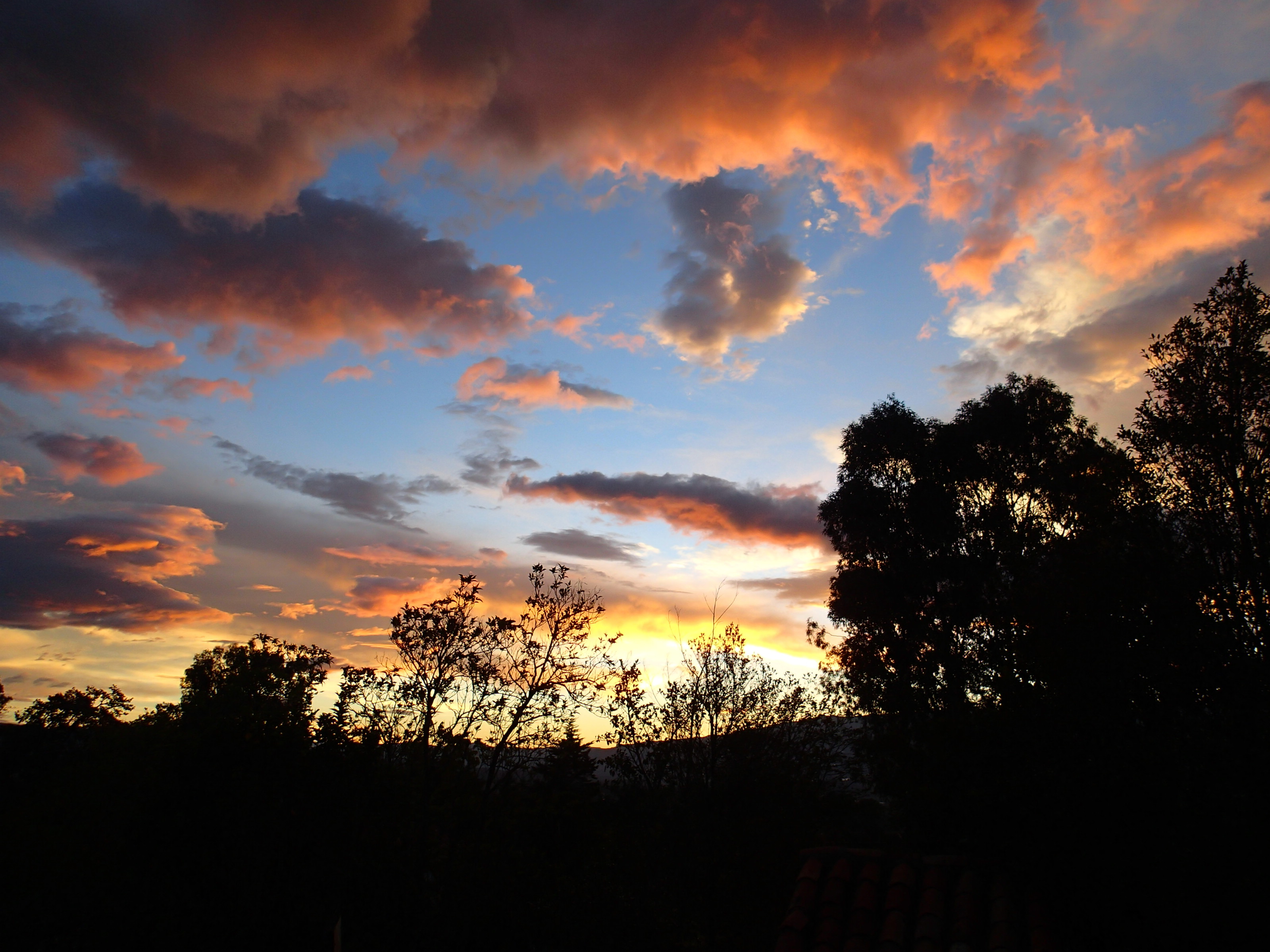 Into the Colombian Highlands