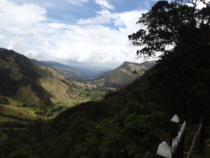 Valley de Cocora