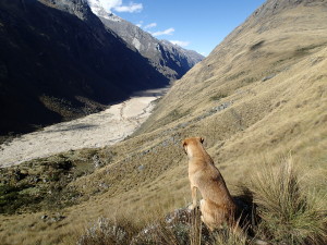 My companion " Carlos" looking over the valley