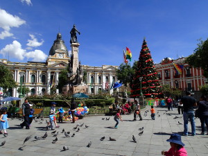 Christmas tree in La Paz on the Plaza Mayor