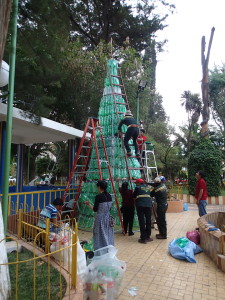 Christmas tree is going up, out of plastic bottles