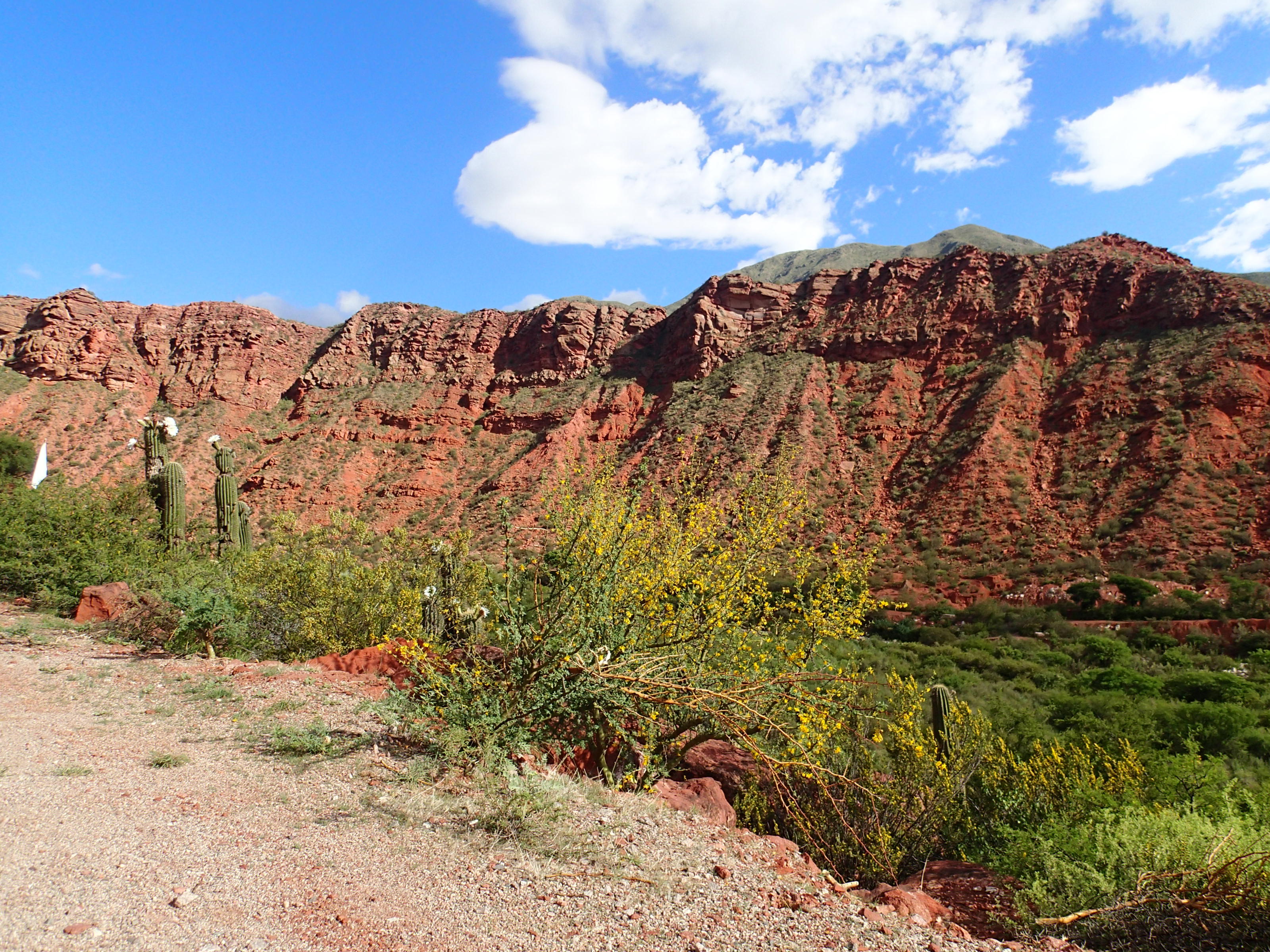 Viva Argentina – Riding along Ruta 40