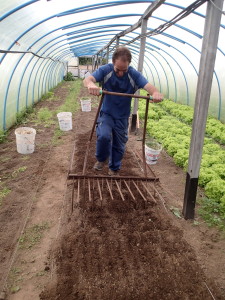 Ignacio at work in the greenhouse