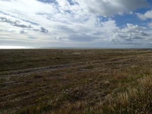 Grassland near the Atlantic coast where wind is at its best